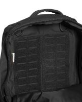 Tasmanian Tiger Modular Daypack L (10)