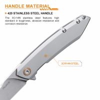 Zavírací nůž Ruike P831S (3)
