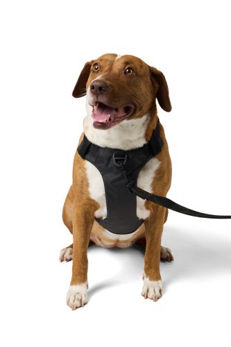 Postroj 5.11 Mission Ready Dog Harness 2.0